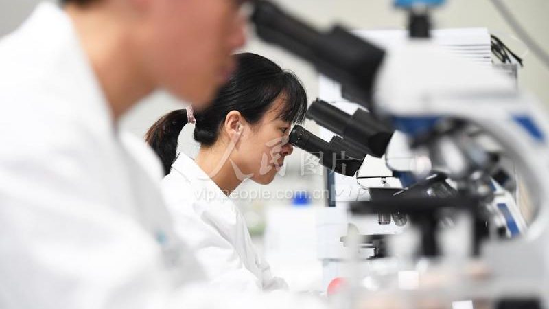 揭秘ELISA试剂盒：品牌排名背后的技术考量