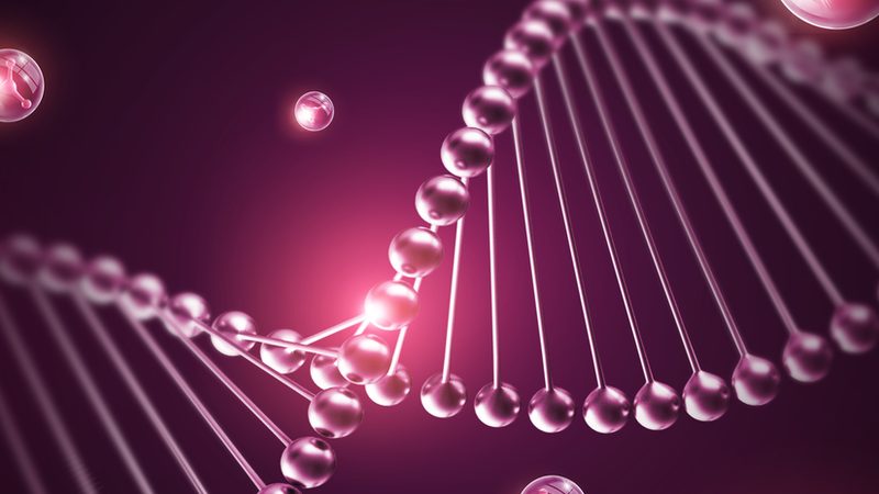 引物合成质量检测报告，如何精准解读？**