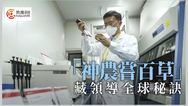 基因编辑：开启精准农业新时代