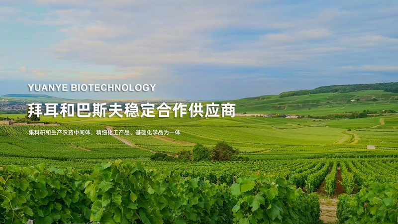生物科技实验设备：如何选择合适的代理加盟伙伴**