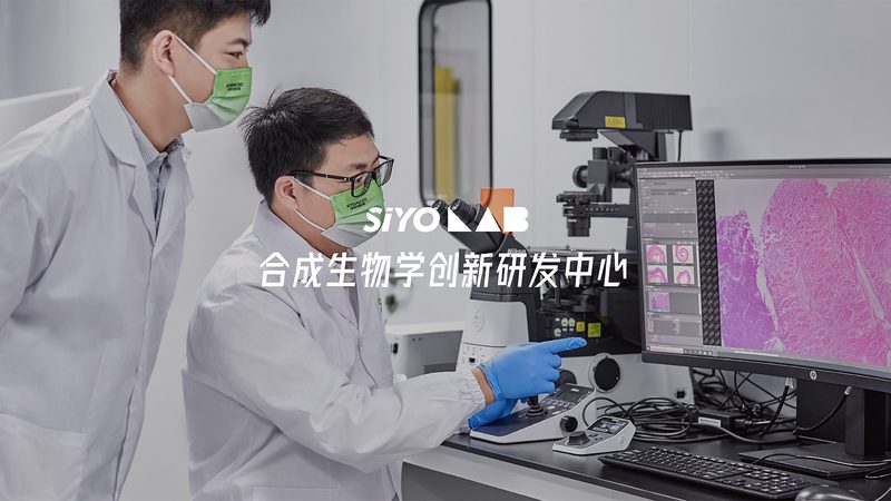 生物制品临床试验流程揭秘：从IND申报到上市，全过程解析