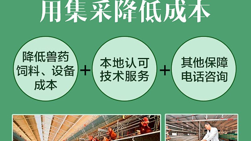 无血清培养基储存：关键细节决定实验成败**