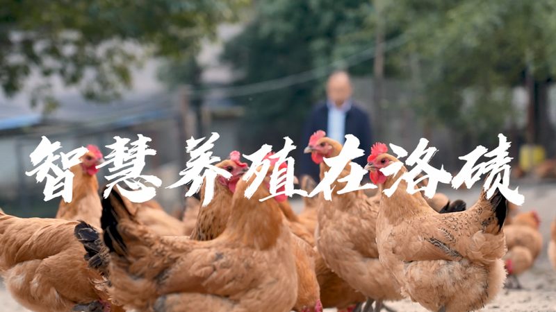 CRISPR技术革新基因检测与编辑：探索未知，点亮生命之光**