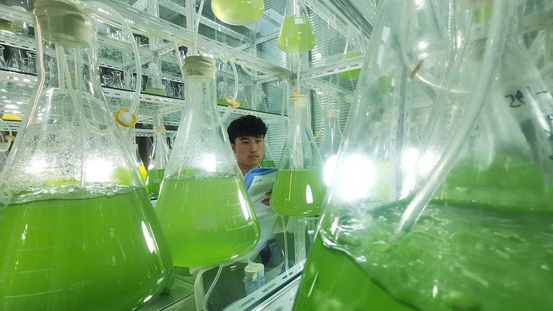 小标题：CRO行业现状解析